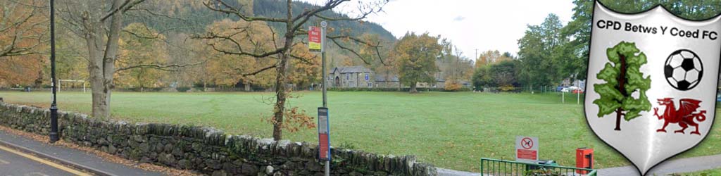 Cae Llan